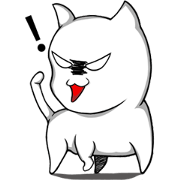 DIDI cat