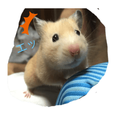 Yukari_20201122195312