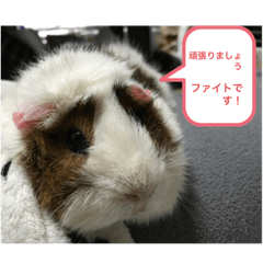 Yukari_20201122201852