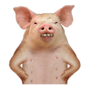 Moody pig (English)