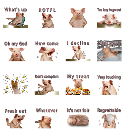 Moody pig (English)