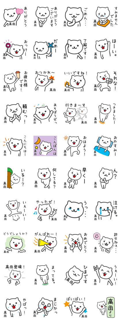 Cat for TAKADA