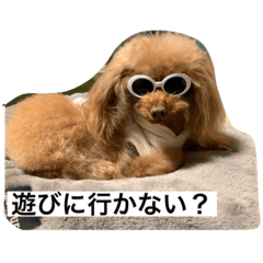 ayumi_20201122231826