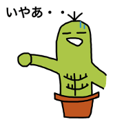 Softly Cactus