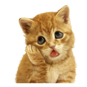 Lovely the cat (English)