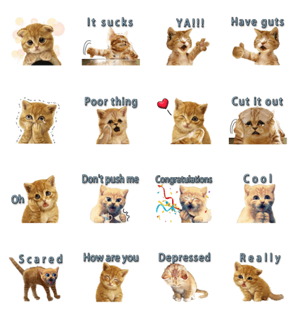 Lovely the cat (English)