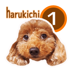 harukichi sticker 1