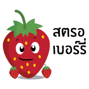 Zo8 Strawberry