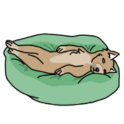 Just a dog