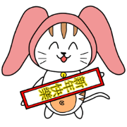 Rabbit Turban - Cat