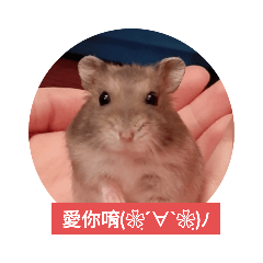 我叫林球球！！