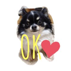 sayuri_20201123102300