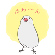 Flighty Java Sparrow