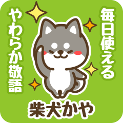 Petit Black Shiba Kaya (Honorific)