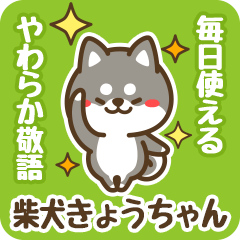 Petit Black Shiba Kyouchan (Honorific)