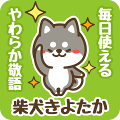 Petit Black Shiba Kiyotaka (Honorific)