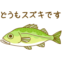 sea bass, seabass
