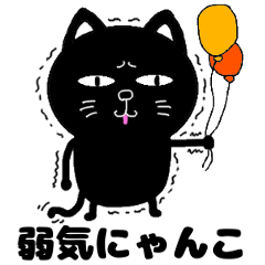 yowaki cat