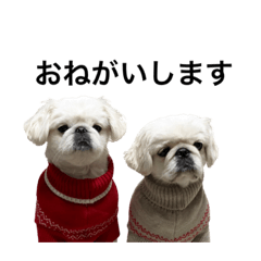 mizuki_20201123121918