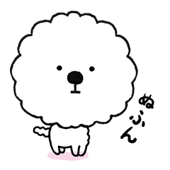 Moco the Cotton candy dog