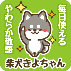 Petit Black Shiba Kiyochan (Honorific)