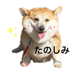 hikari_20201123140123