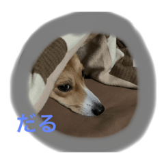 tomomi_20201123145000