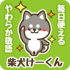 Petit Black Shiba Keekun (Honorific)