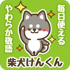 Petit Black Shiba Kenkun (Honorific)