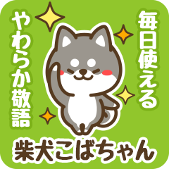 Petit Black Shiba Kobachan (Honorific)