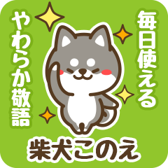 Petit Black Shiba Konoe (Honorific)