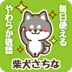 Petit Black Shiba Sachina (Honorific)