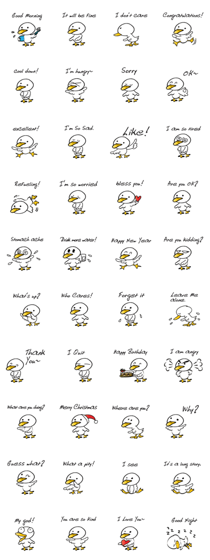 White Duck
