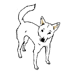 White HAKATA Dog