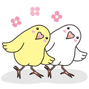 Yellow and White parakeet.