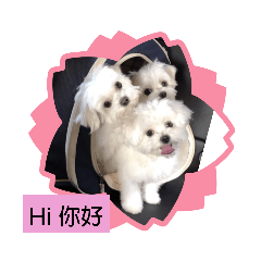 vivian的寶寶2