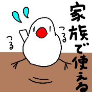 The family child Java sparrow.