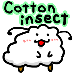 cotton insect