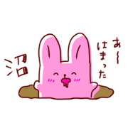 Rabbit of OTAKU.