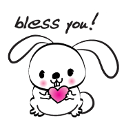 rabbit cute cute