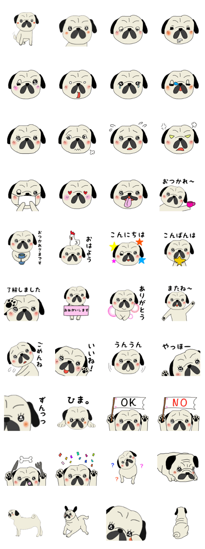 Daily routine of Pug