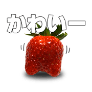 STRAWBERRY GO (JAPAN)