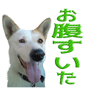 Osan's Sticker