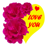 FLOWER TODAY2