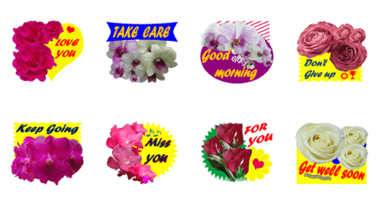 FLOWER TODAY2