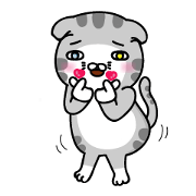Geely meow