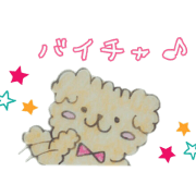 Capricious Toy Poodle Hapio