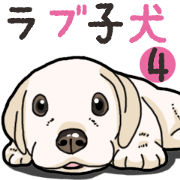 Wanko-biyori puppy Labrador retriever 4