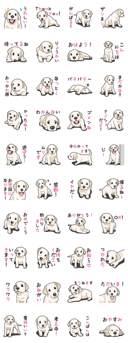 Wanko-biyori puppy Labrador retriever 4