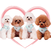 Hermy Lucy Vivian Ivy cute Sticke